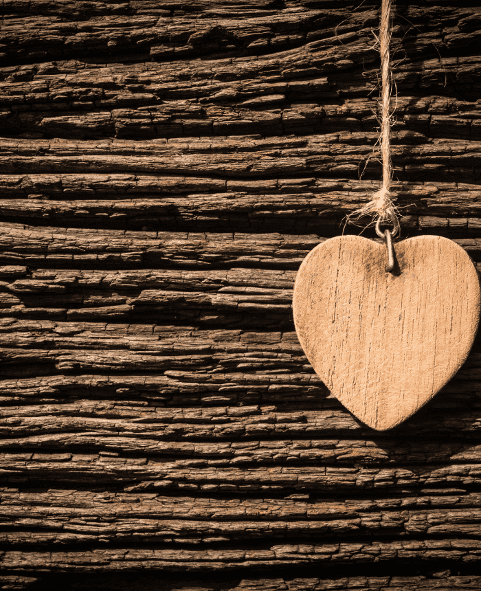 You are currently viewing <br> April 7, 2023