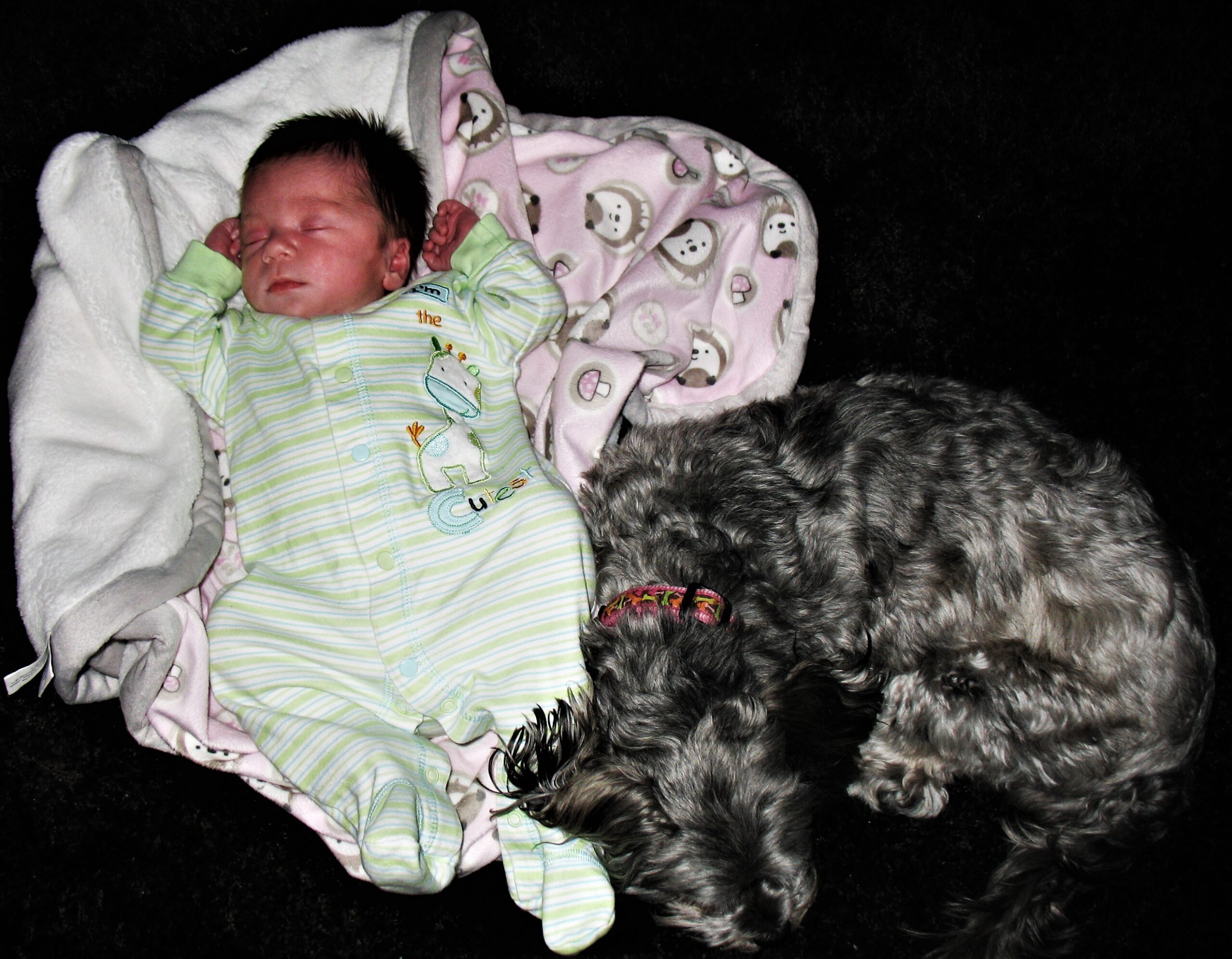 You are currently viewing Birth Mother Wanted to Decide